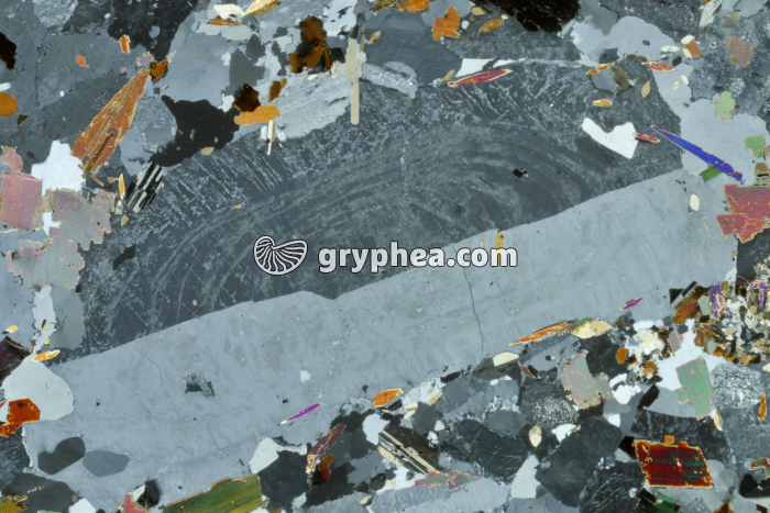 Feldspath alcalin LPA x3 - gryphea.com